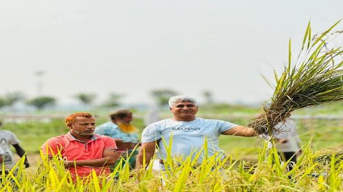 রূপগঞ্জে যুবদল নেতা দুলাল হোসেনের স্বেচ্ছাশ্রমে ধান কাটা