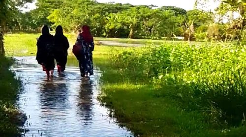 লালমোহনের সৈনিক বাজার সড়কের বেহাল দশায় দুর্ভোগ চরমে