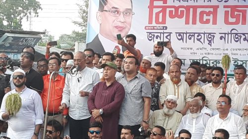 আওয়ামী লীগ ও ভারত নির্বাচন বানচাল করতে চায়: আলম