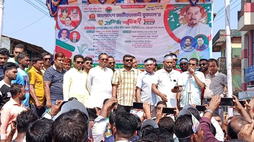 লালমোহনে যুবদলের প্রতিষ্ঠাবার্ষিকী বর্ণাঢ্য আয়োজনে পালিত
