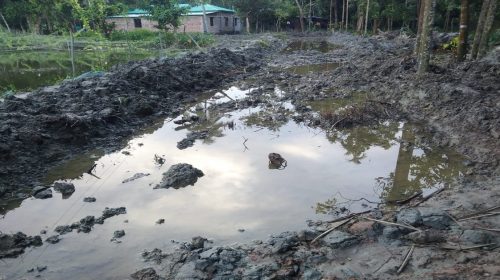 বিআরডিবির জমিতে সড়ক নির্মাণ, জানে না অফিস