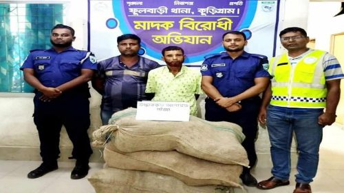 ফুলবাড়ীতে ৭৫ কেজি গাঁজাসহ দুই মাদক ব্যবসায়ী আটক